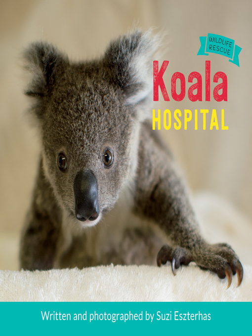 Cover image for Koala Hospital